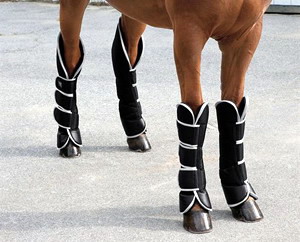 Horse boots